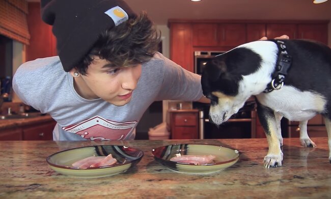 Ein Junger Mann und sein Chihuahua. Quelle: Youtube Screenshot