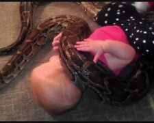 Das Kind ist mit Schlangen befreundet. Quelle: Youtube Screenshot