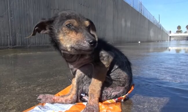 Jordan.Quelle: Youtube Screenshot