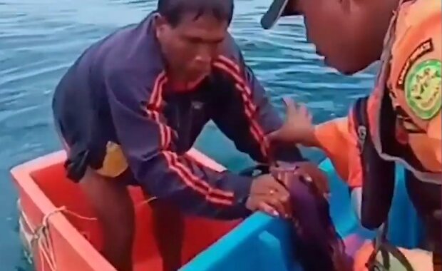Drei Tage auf hoher See: Retter fanden einen Seemann, der nicht mehr hoffte, gerettet zu werden