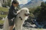 Hund und Junge, Quelle: Screenshot YouTube