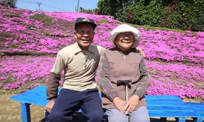 Ein liebender Ehemann verwandelte 2 Jahre lang das Feld in ein Blumenbeet, um seine Frau mit ihr Lächeln wieder sehen zu können