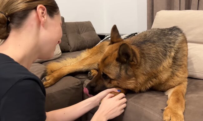 Illustratives Bild. Quelle: Youtube Screenshot