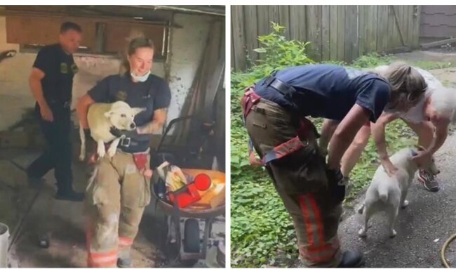 Rettungsaktion. Quelle: Screenshot