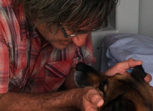 Elf Stunden segelte der Hund unermüdlich ans Ufer, um seinen Besitzer zu retten