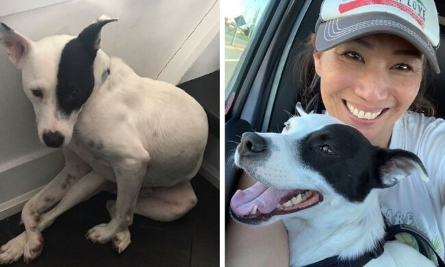 Beste Freunde: Trotz ihrer Angst behauste die Frau einen Hund