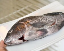Ein Experte aus Korea erklärte, wie man Fisch und Fleisch in 7-10 Minuten auftaut