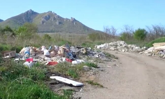 Ein inspirierendes Beispiel für ein abfallfreies Leben. Quelle: Screenshot YouTube