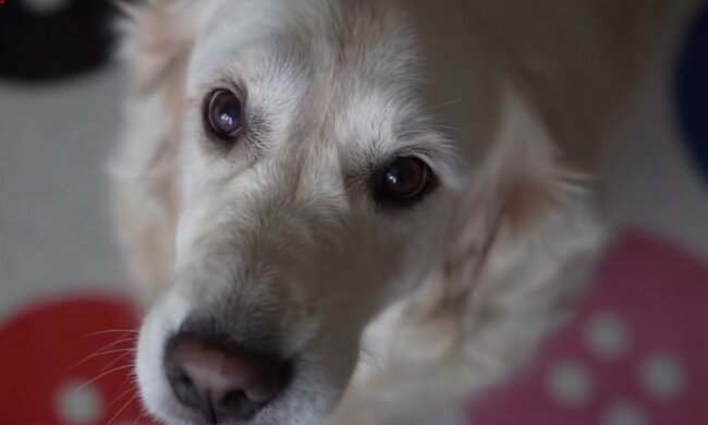 Jedes Leben ist wertvoll. Quelle: Screenshot YouTube