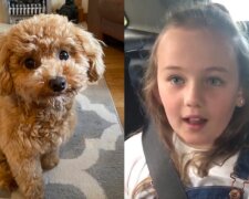 Das Mädchen hatte keine Ahnung, dass der Hund ihr Geschenk war. Quelle: www. vinegred.сom