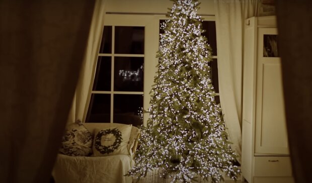 Tannenbaum. Quelle: Screenshot YouTube