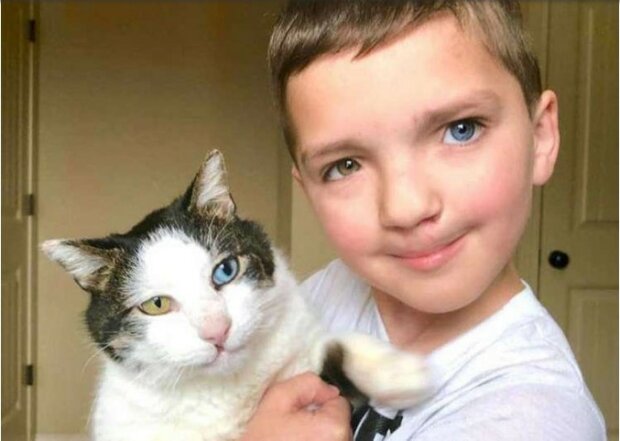 Sie fanden sich: Ein Junge mit einer unterschiedlichen Augenfarbe nahm eine Katze mit denselben ungewöhnlichen Augen aus einem Tierheim