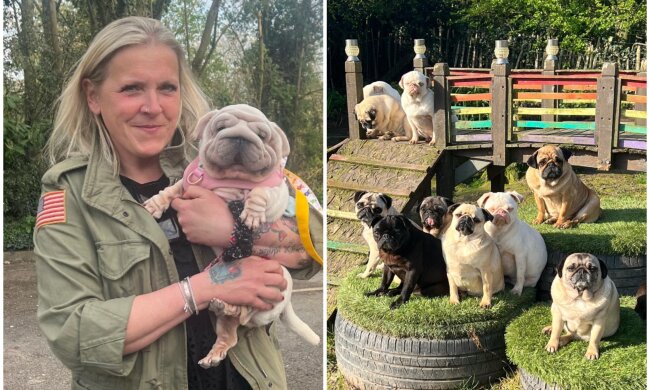 Becca Drake und ihre Haustiere. Quelle: Screenshot Youtube