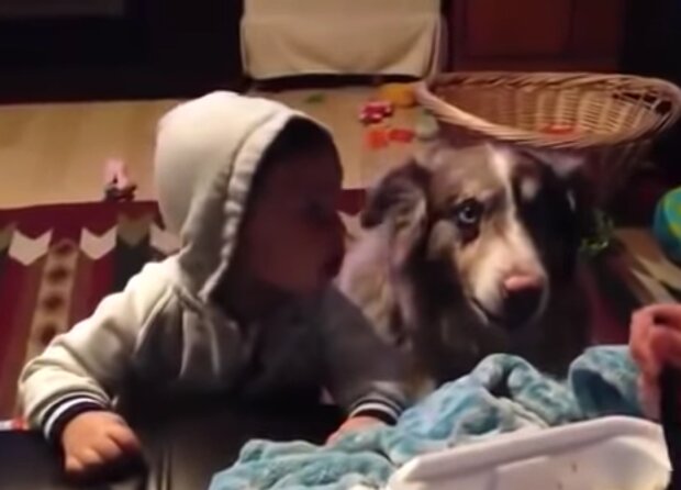 Baby Sam und Hund Patch. Quelle: Screenshot Youtube