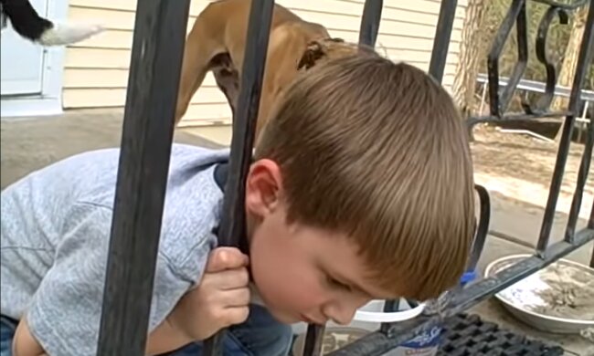 Als die Eltern verzweifelt waren, zeigte der einfallsreiche Hund, wie man das Kind aus der Falle befreien konnte