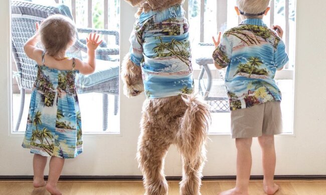 Hund und Kinder. Quelle: Instagram.com