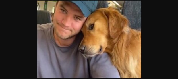 Huxley, der Golden Retriever, wurde viral. Quelle: Youtube Screenshot