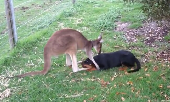Entzückende Freunde aus verschiedenen Familien. Quelle: Screenshot YouTube