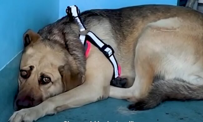 Illustratives Bild. Quelle: Youtube Screenshot