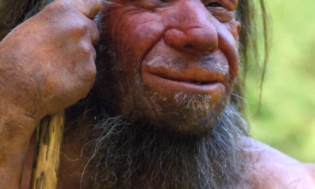 Neandertaler setzten auf Pflanzen. Quelle: Youtube Screenshot