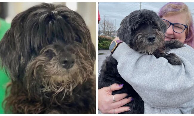 Hund und Besitzerin. Quelle: Screenshot