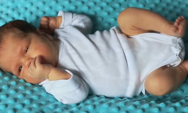 Frankie. Quelle: YouTube Screenshot