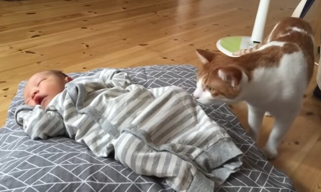 Zwischen Liebe und Kontroversen. Quelle: Youtube Screenshot