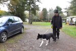 „Hundekot vor der Haustür“: Nachbarn erstatten Anzeige gegen rücksichtslose Hundebesitzer