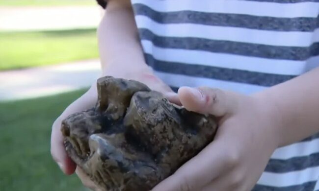 Mastodonenzahn. Quelle: Screenshot YouTube