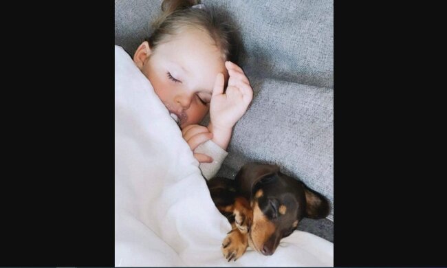 Süße Beziehung. Quelle: pets-dating