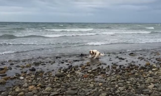 Leila. Quelle:Youtube Screenshot