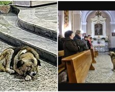 Hund namens Tommy besuchte mit seiner Besitzerin eine Kirche. Quelle: Screenshot Youtube