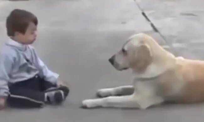 Der Labrador kam zu dem besonderen Jungen, kurz danach wurden sie Freunde