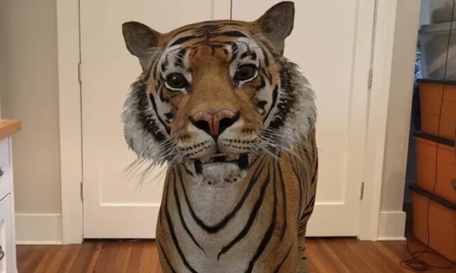 Ein kleiner Tiger im Haus. Quelle: www. zen.сom