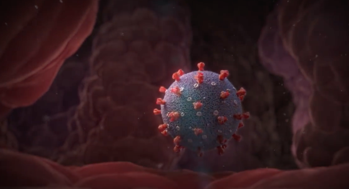 Вирус коронавирус клетка. Коронавирус атакует клетку. Коронавирус клетка. Клетка зараженная вирусом.