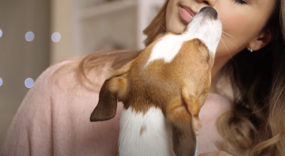 Wenn der Hund deine Füße leckt, will er damit etwas sagen