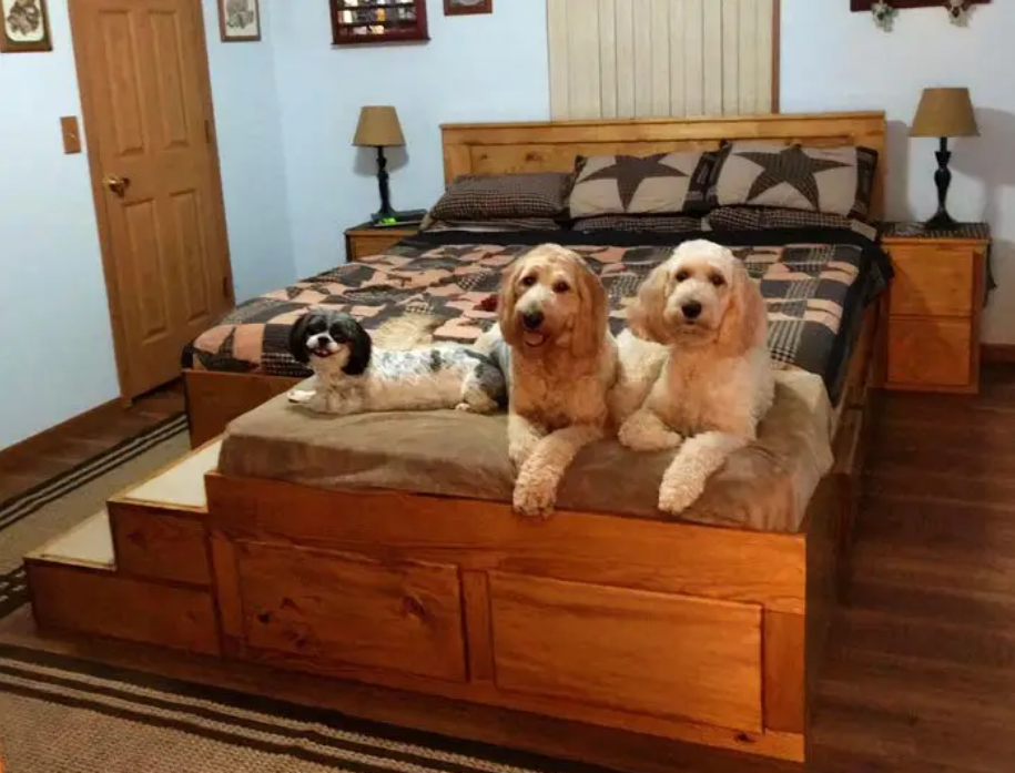 Собачья кровать для человека