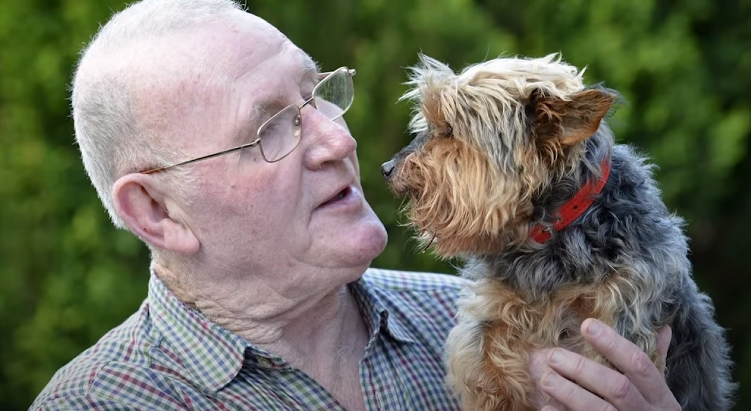 Alzheimer Hund Bin Total Verzweifelt gesellschaft.uberalles.live