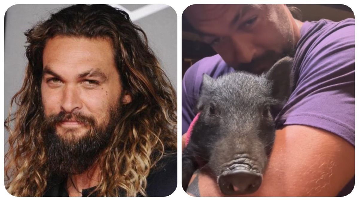 Jason Momoa nimmt Wildschwein mit nach Hause und will seine Nägel rosa ...