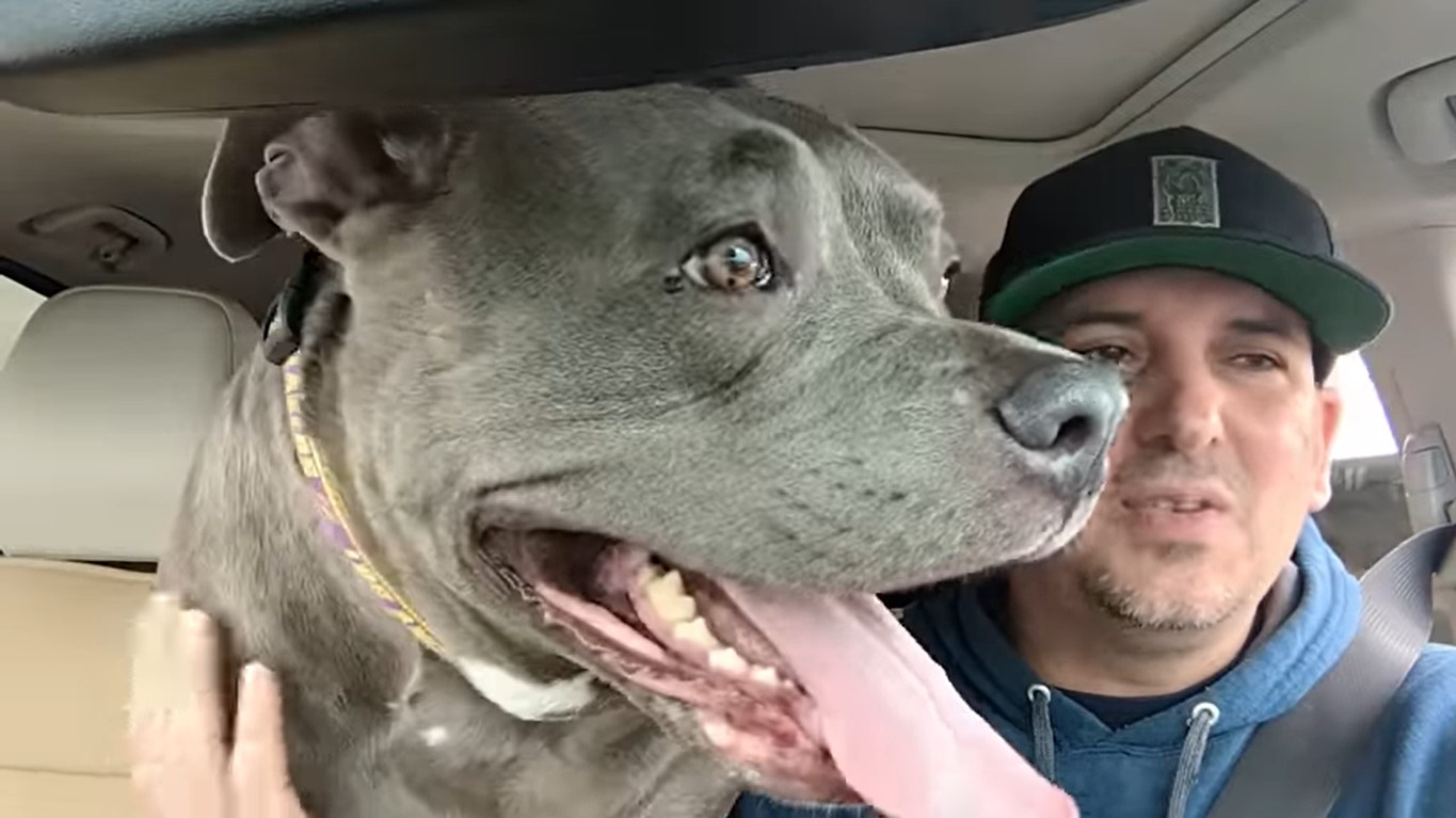 Frau änderte ihre Meinung über Pitbulls, nachdem der Hund ihres