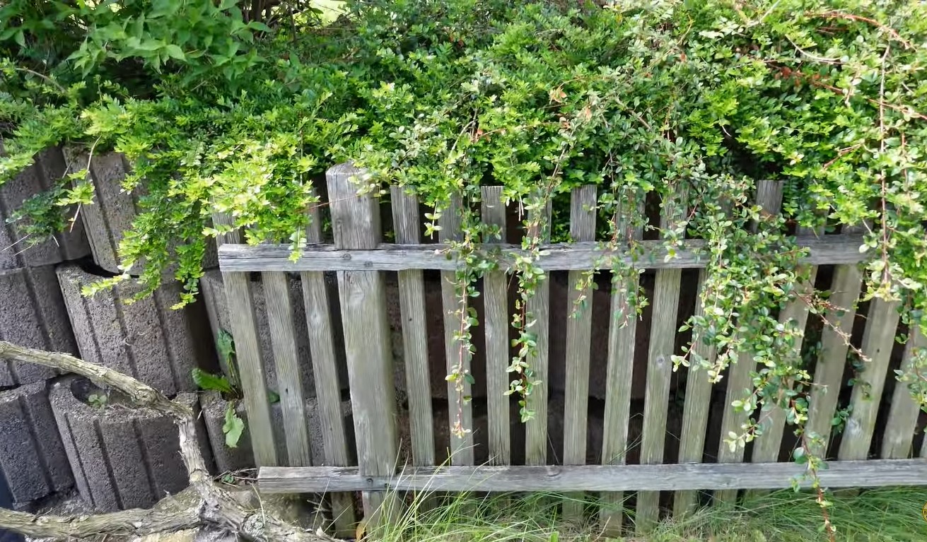 "Nachbar hat einen fast 3 Meter hohen Zaun gebaut und überwacht meinen